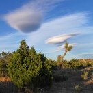 The Mojave Desert